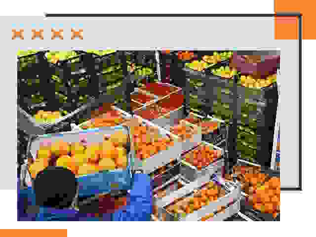 Перевозка скоропортящихся продуктов в Реутове